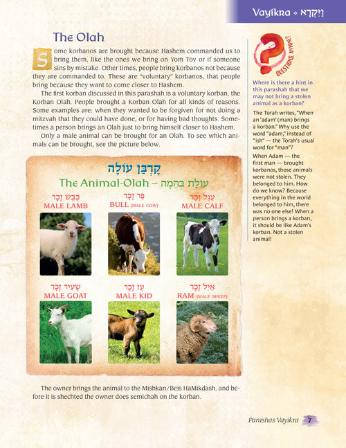 The Weekly Parashah - Jaffa Family Edition - Vayikra