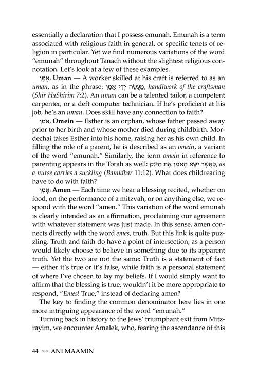 Ani Maamin: A Mission for Life (Full Size)