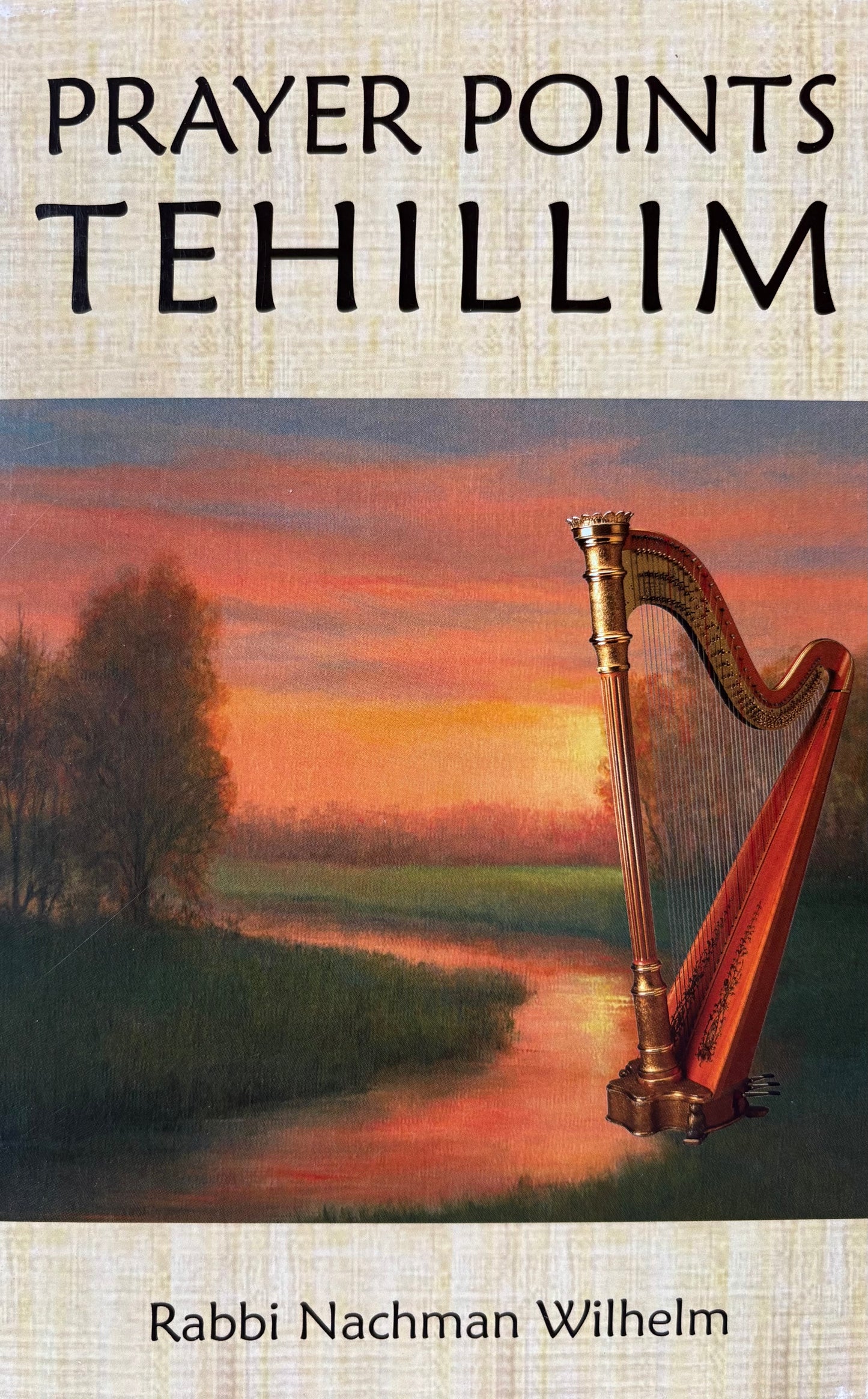 Prayer Points - Tehillim