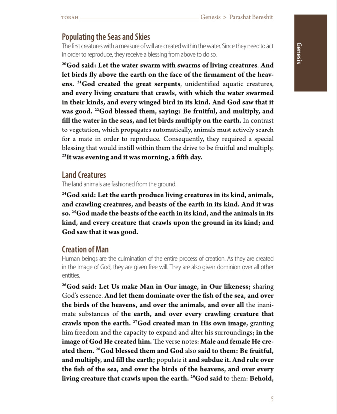 A Concise Guide to the Torah