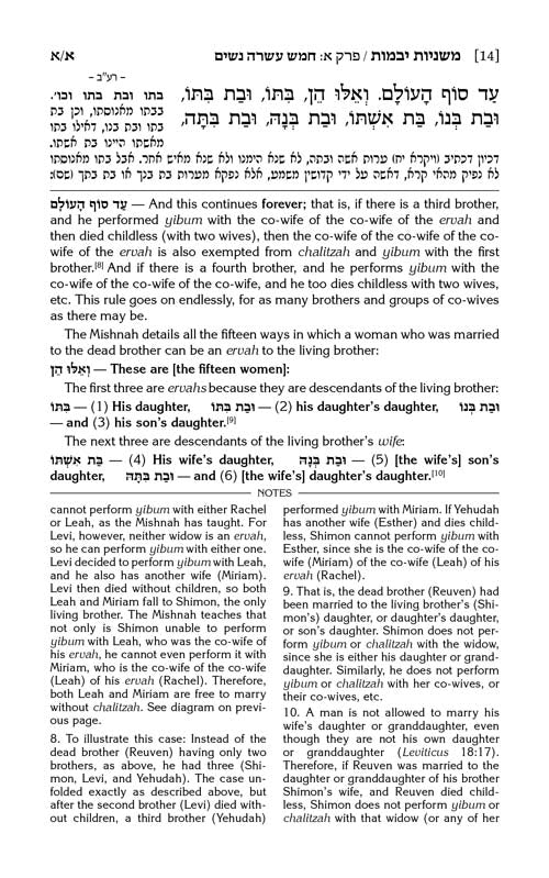 The Mishnah Elucidated - Schottenstein Edition - Volume 8: Seder Nashim; Part 1; Tractates: Yevamos and Kesubos