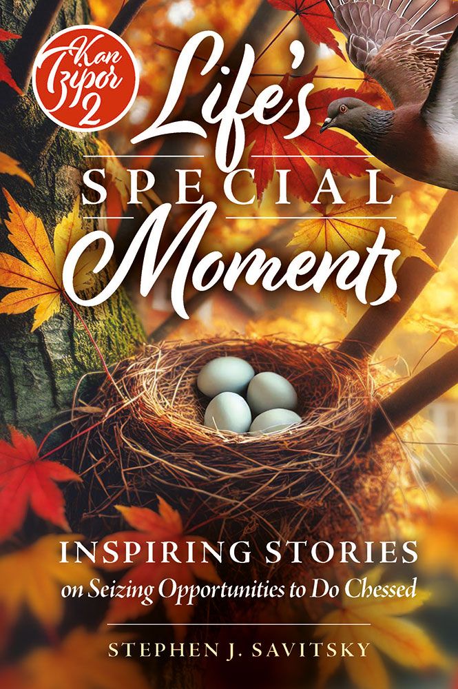 Life's Special Moments - Kan Tzipor #2