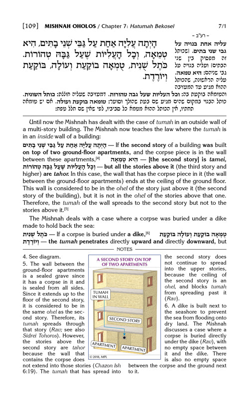 The Mishnah Elucidated - Schottenstein Edition - Volume 19: Seder Tohoros; Part 3; Tractate: Oholos