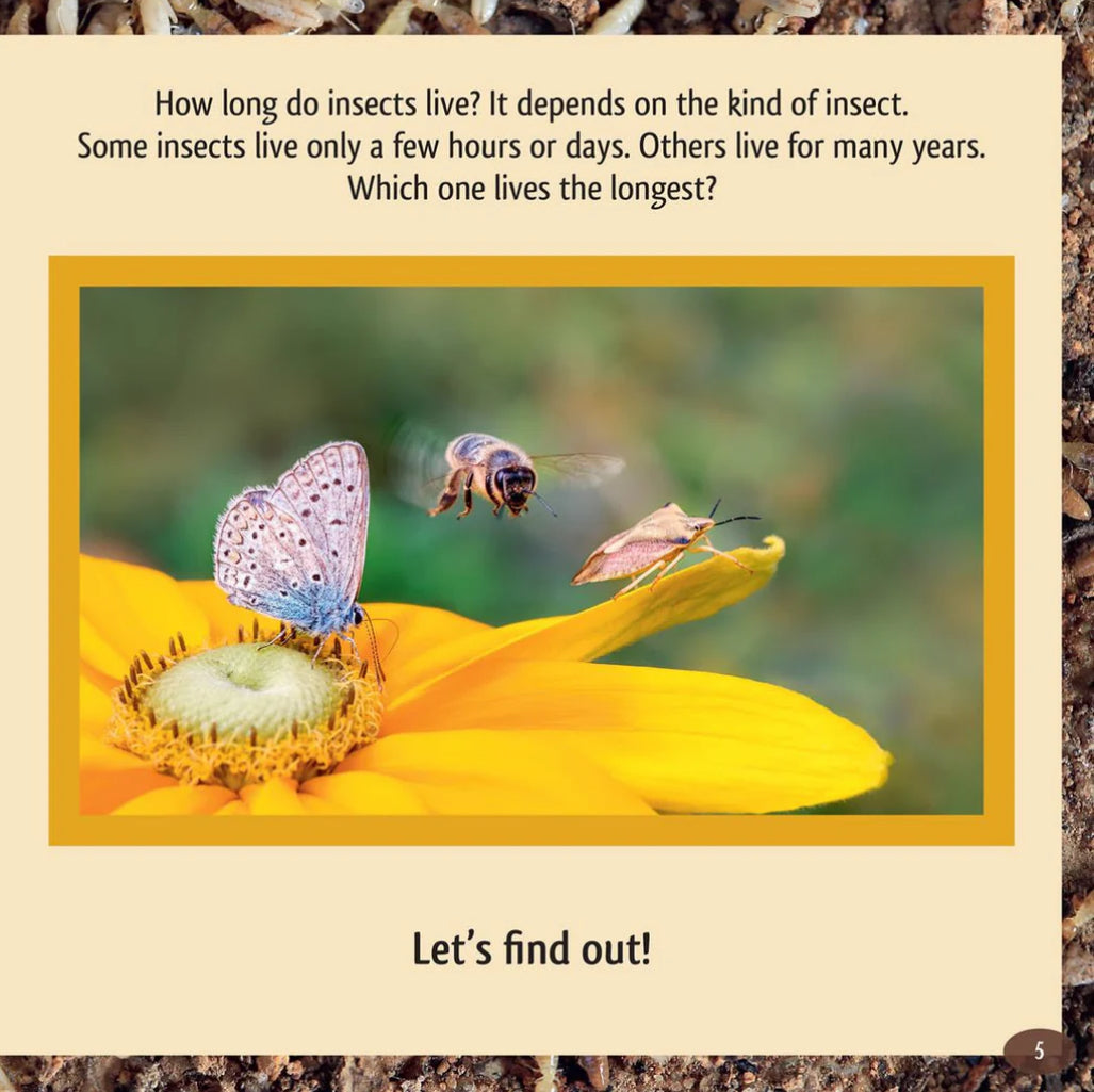 And the Winner Is...Who is the Longest-Living Insect on Earth?