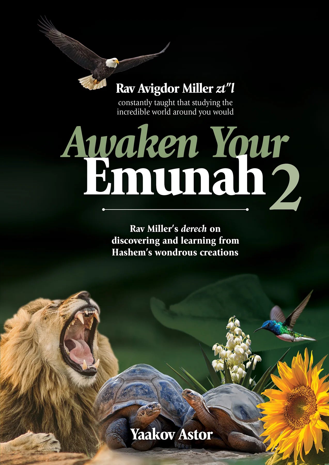 Awaken Your Emunah - 2