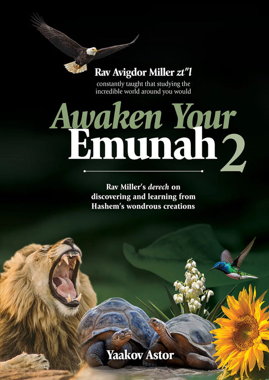Awaken Your Emunah - 2