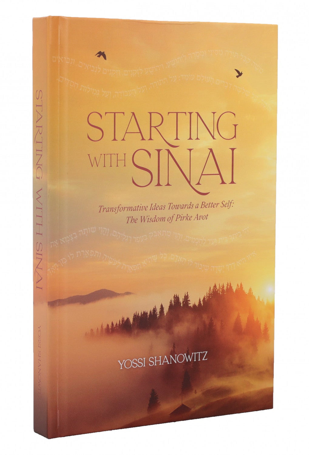 Starting with Sinai