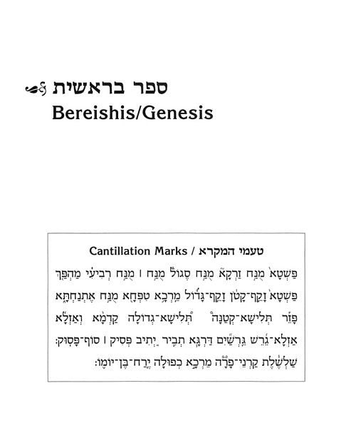 The Stone Edition Chumash - The Torah, Haftaros, and Five Megillos with a Commentary from Rabbinic Writings - With English Translation - Large 8" x 9.5" x 1.8"
