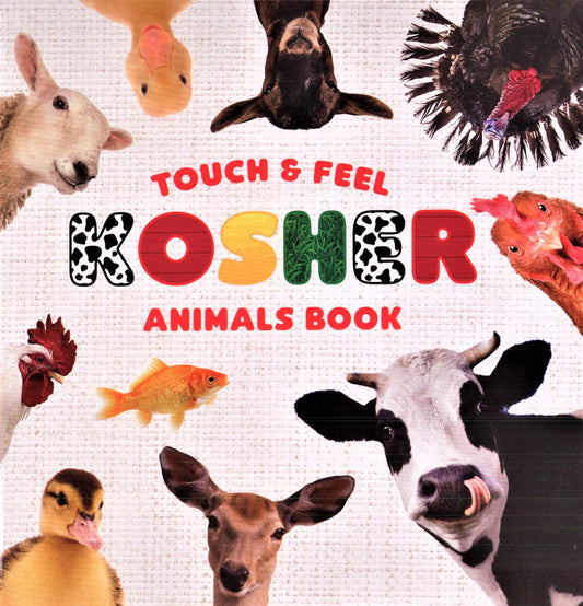 Touch and Feel Kosher Animals Book
