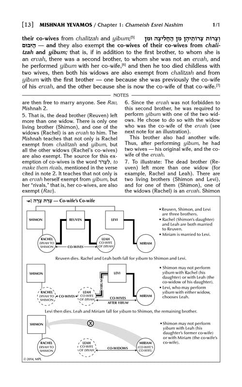 The Mishnah Elucidated - Schottenstein Edition - Volume 8: Seder Nashim; Part 1; Tractates: Yevamos and Kesubos