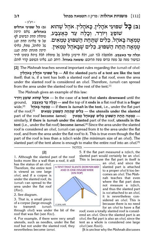 The Mishnah Elucidated - Schottenstein Edition - Volume 19: Seder Tohoros; Part 3; Tractate: Oholos