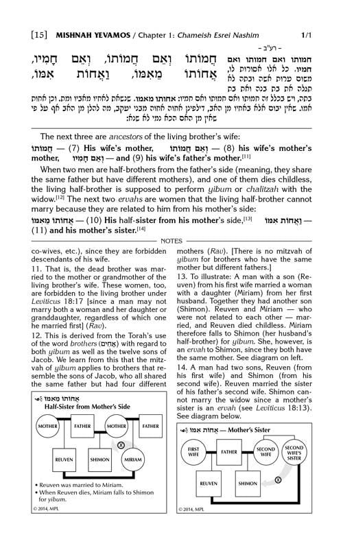 The Mishnah Elucidated - Schottenstein Edition - Volume 8: Seder Nashim; Part 1; Tractates: Yevamos and Kesubos
