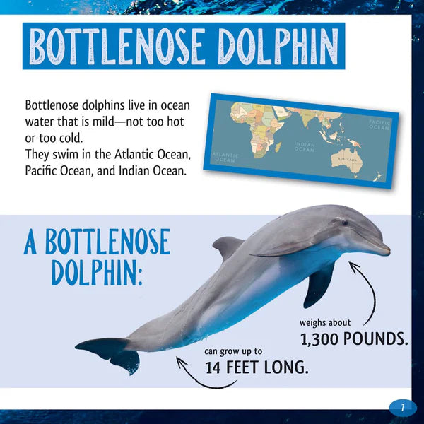 And the Winner Is…Who Hunts the Deepest in the Ocean?