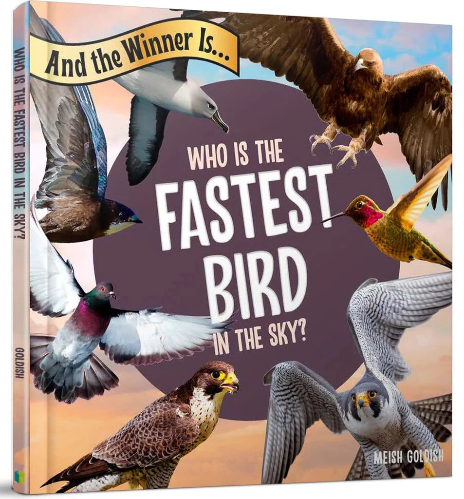 And the Winner Is…Who Is the Fastest Bird in the Sky?