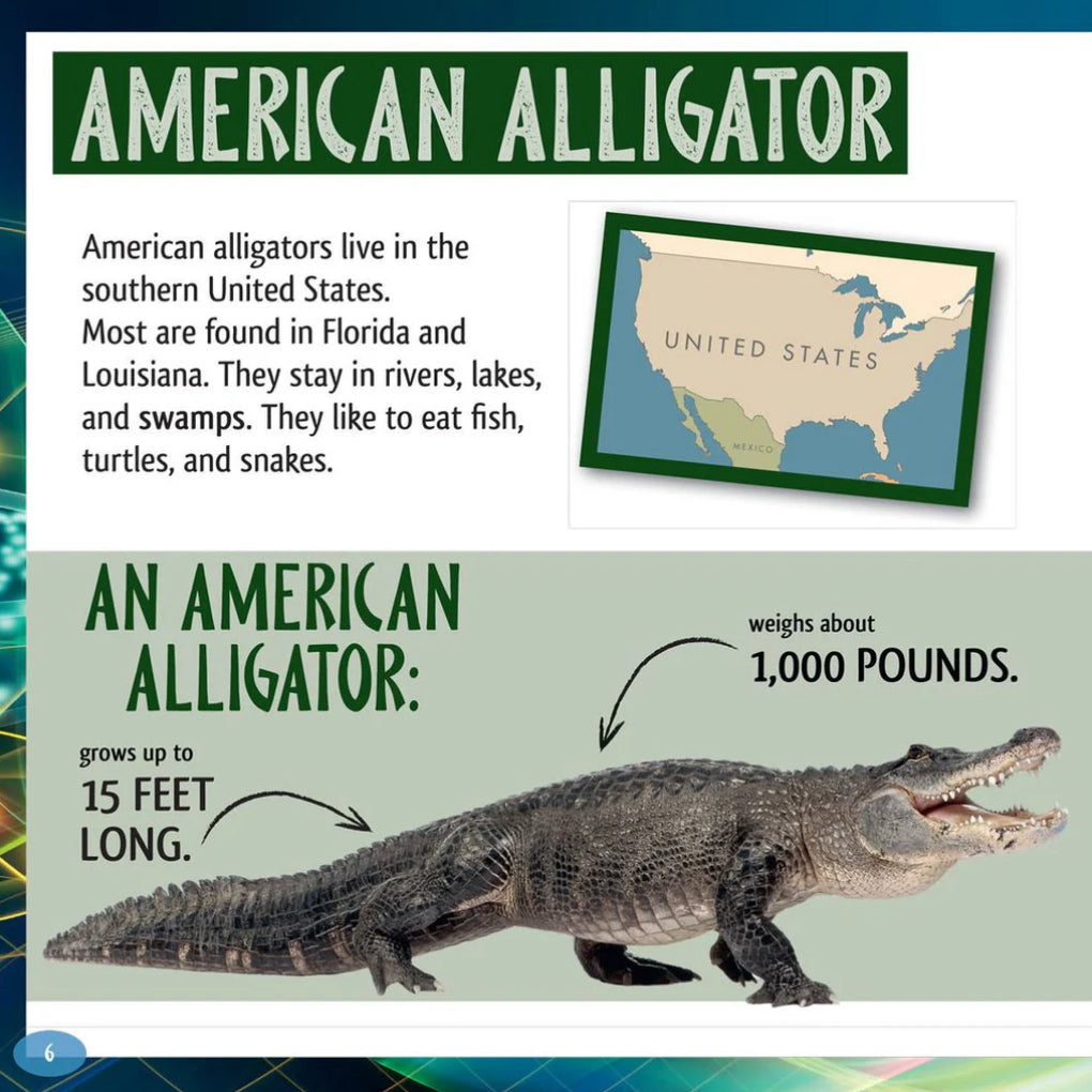 And the Winner Is...Who is the Loudest Animal in the World?