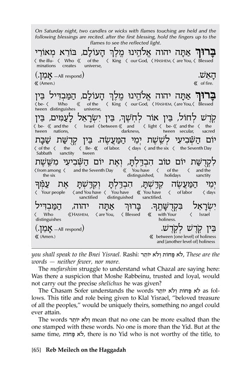 Haggadah Shel Pesach Be'er HaChaim: Reb Meilech on the Haggadah