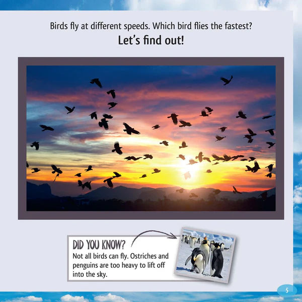 And the Winner Is…Who Is the Fastest Bird in the Sky?