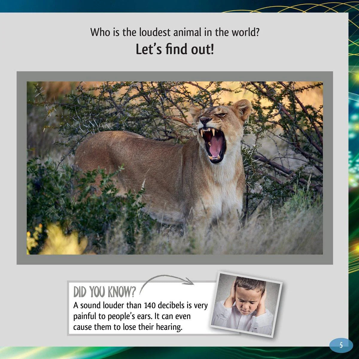 And the Winner Is...Who is the Loudest Animal in the World?